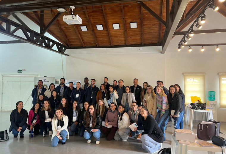 Treinamento Mastery